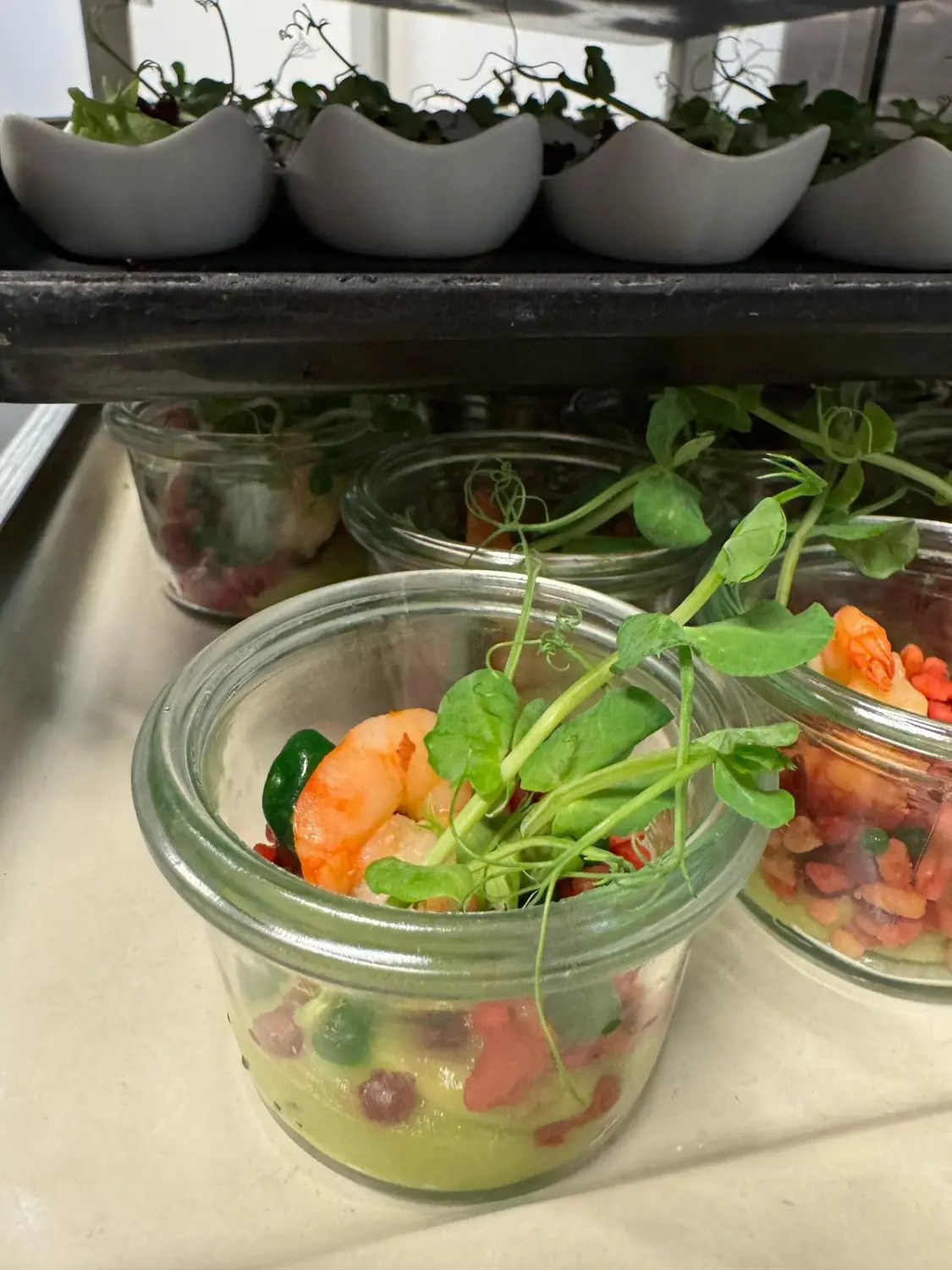 Grüner Salat von GenussGeflüster